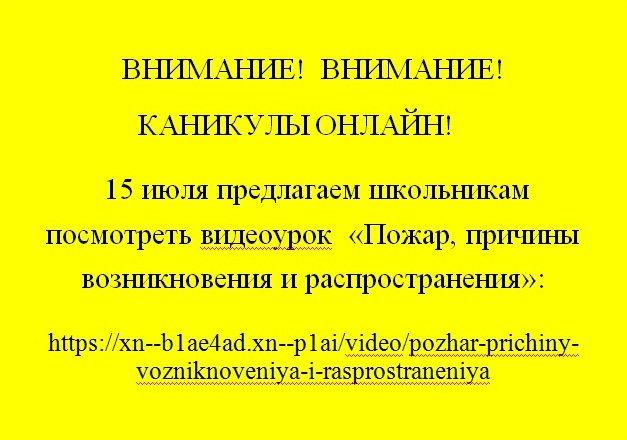 «Каникулы-онлайн» 2024.